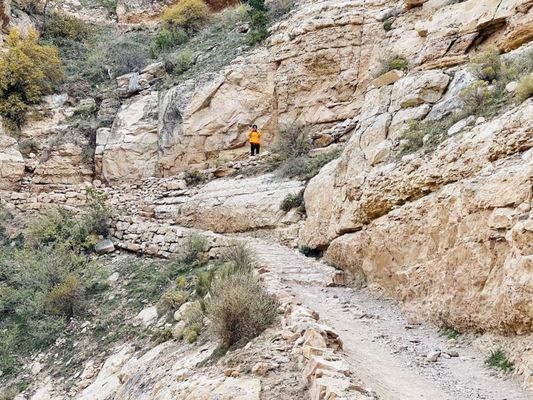 Ooh Aah Point by null