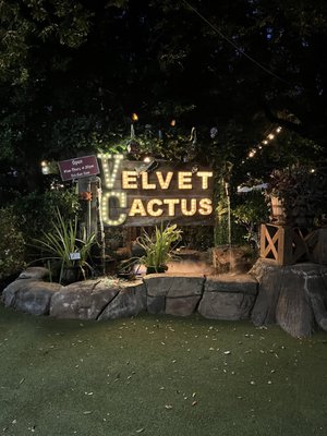 The Velvet Cactus by null