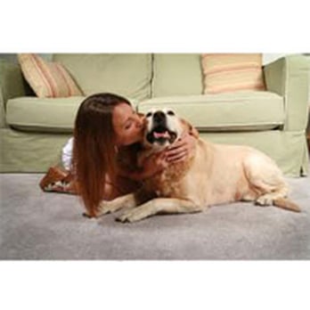 Options Plus - Carpet Cleaning Near Me - Bedford, Nova Scotia Options Plus - Carpet Cleaning Near Me - Bedford, Nova Scotia
