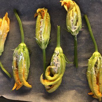 Worker Bee Farm - Squash blossoms stuffed. - Farms Near Me - Freestone, California