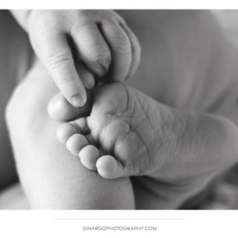 DiNardo Photography - Newborn Session - Event Photography Near Me DiNardo Photography - Newborn Session - Event Photography Near Me
