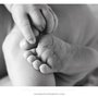 Photo of DiNardo Photography