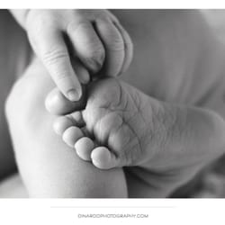 DiNardo Photography - Newborn Session