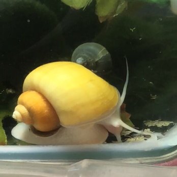 Petco - Pet Stores Near Me - Davis, California