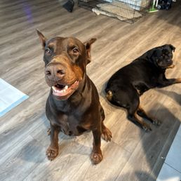 Our Big Boy Goku