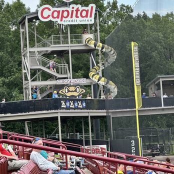 Wisconsin Timber Rattlers - Slide for the kids - Amateur Sports Teams Near Me - Appleton, Wisconsin