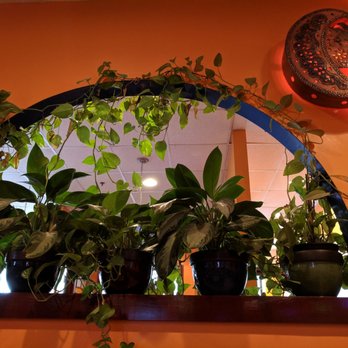 Tecate Bar & Grill - Decor - Mexican Near Me - Vestavia Hills, Alabama