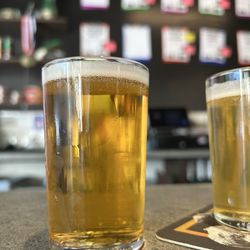Tenma Beer Project