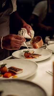 Table Culture Provisions by null