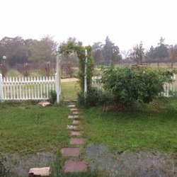 Lone Hen Winery