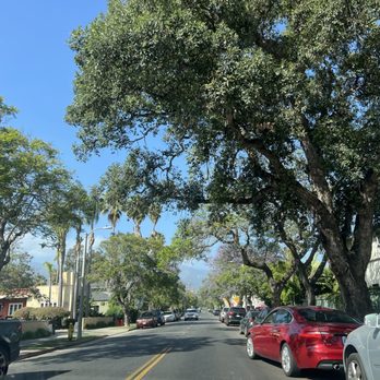 Los Olivos - Local Flavor Near Me