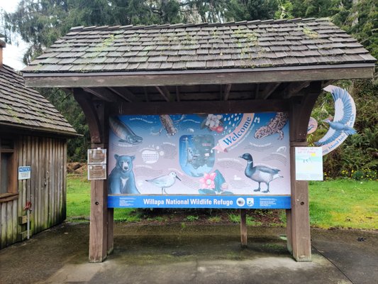 Willapa National Wildlife Refuge by null