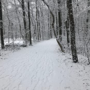 Pearson Park - Trees - Parks Near Me - Oregon, Ohio