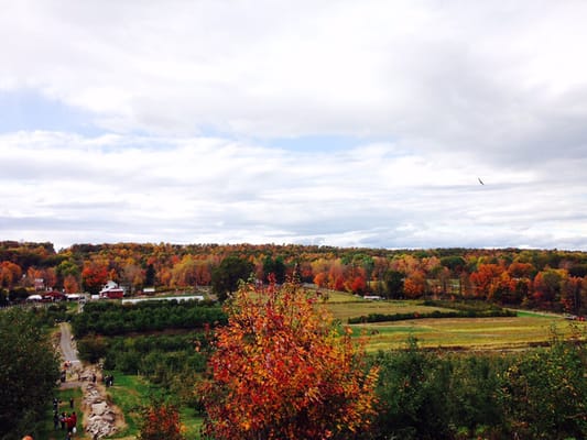 Wilklow Orchards by null