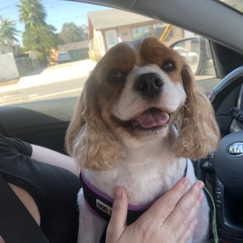 Love Dog's World - Pet Stores Near Me - Riverside, California Love Dog's World - Pet Stores Near Me - Riverside, California