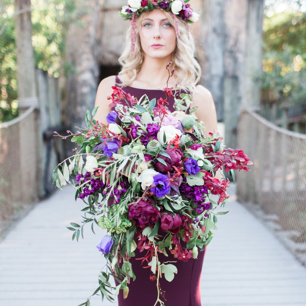 Vero Beach Florida Flowers Best Flower Site