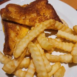 Allgauer's Bistro In The Park - Kids grilled cheese with fries