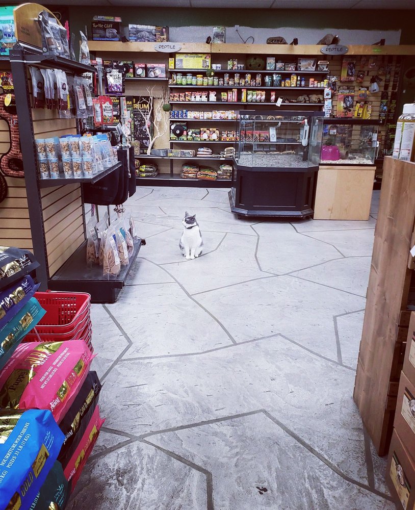 PETS TO GO 75 Photos & 147 Reviews 9098 Laguna Main St, Elk Grove