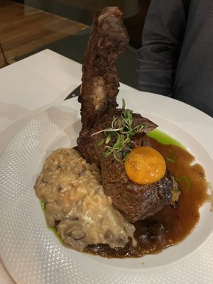 Zucco Ristorante: Cozinha Italiana, Contemporâneo, Risotos, Massas, Vinhos SP by null