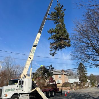 JH Tree Service & Landscaping - Crane-assisted tree removal on a residential street in Rockaway, NJ - Landscaping Near Me - Rockaway, New Jersey JH Tree Service & Landscaping - Crane-assisted tree removal on a residential street in Rockaway, NJ - Landscaping Near Me - Rockaway, New Jersey