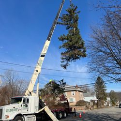 JH Tree Service & Landscaping