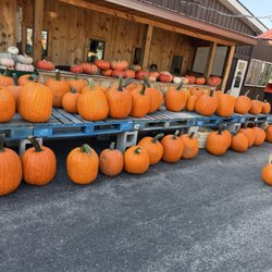 Lakeside Farms - Pumpkins
