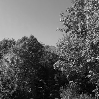 Moore Park Ravine - Parks Near Me - Toronto, Ontario Moore Park Ravine - Parks Near Me - Toronto, Ontario