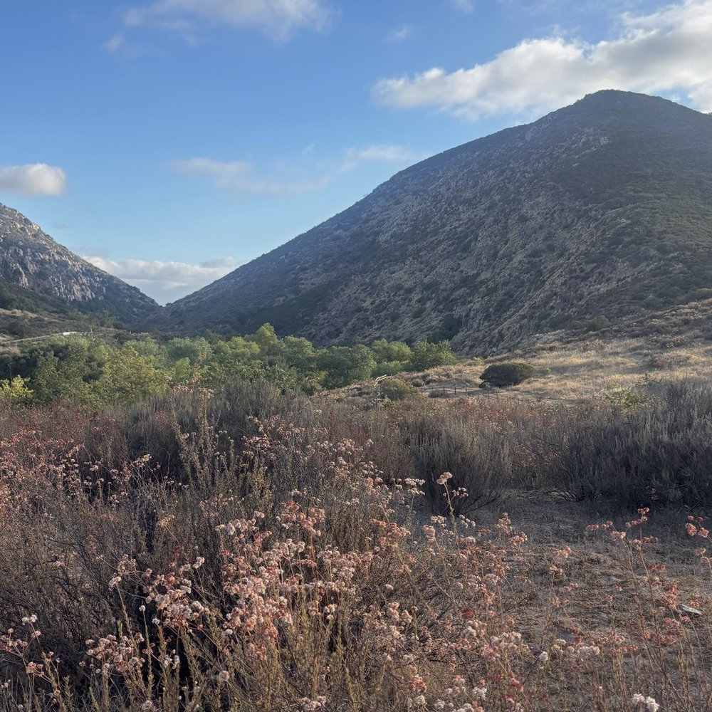 Oak Canyon Trail - mountain - Hiking Near Me