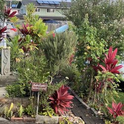 Natural Healing Massage - Natural Healing Massage, Lihue 
https://www.kauaibestmassage.com
