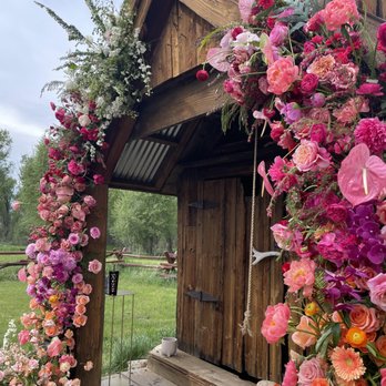 Lace and Lilies - Florists Near Me - Fort Collins, Colorado Lace and Lilies - Florists Near Me - Fort Collins, Colorado