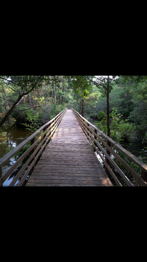 TUCK IN THE WOOD CAMPGROUND Updated September 2024 22 Tuc In De