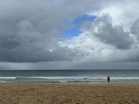 Manly Beach by null