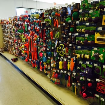 Pets Plus - Pet Stores Near Me - Escondido, California Pets Plus - Pet Stores Near Me - Escondido, California
