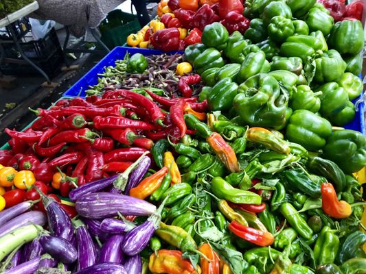 Tompkins Square Park Greenmarket by null