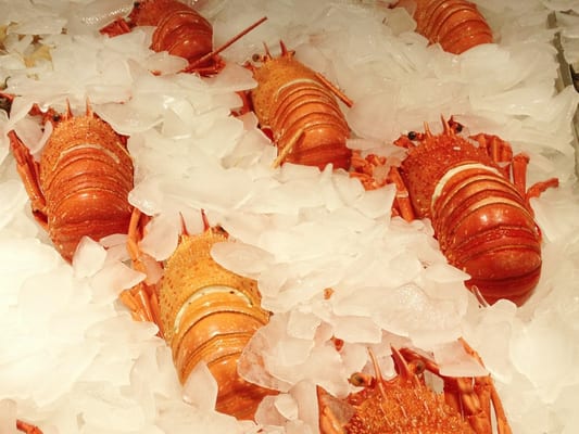 Kailis Bros Leederville by null