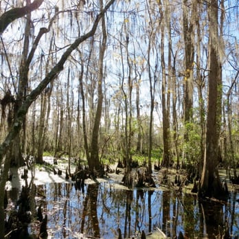 Barataria Preserve - Visitor Center Trail - Parks Near Me - Marrero, Louisiana Barataria Preserve - Visitor Center Trail - Parks Near Me - Marrero, Louisiana