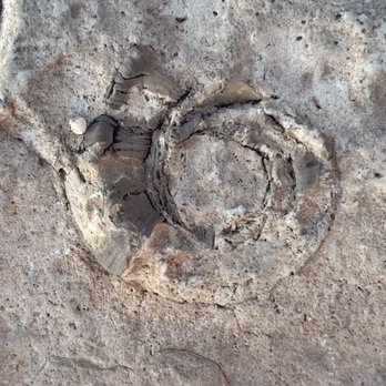 Hermit Road - Cephalopod Fossil - Mohave Point - Hiking Near Me - Grand Canyon Village, Arizona