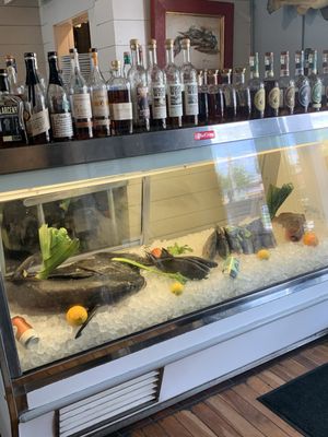 Julington Creek Fish Camp by null