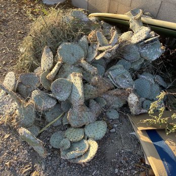 Cleaner AZ - Cactus - Junk Removal & Hauling Near Me