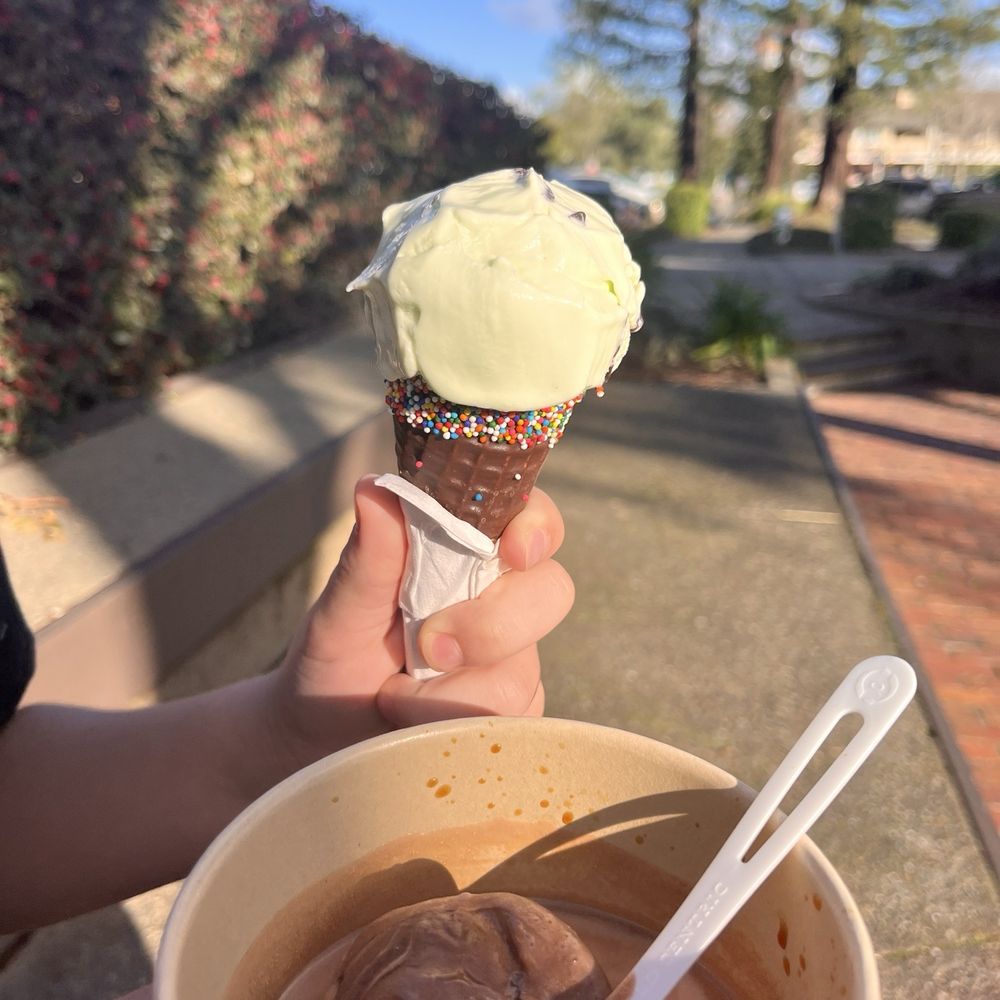 Darling - Yum! - Ice Cream & Frozen Yogurt Near Me - Sonoma, California Darling - Yum! - Ice Cream & Frozen Yogurt Near Me - Sonoma, California