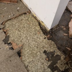 Top 10 Best Asbestos Popcorn Ceiling Removal In Seattle Wa Last