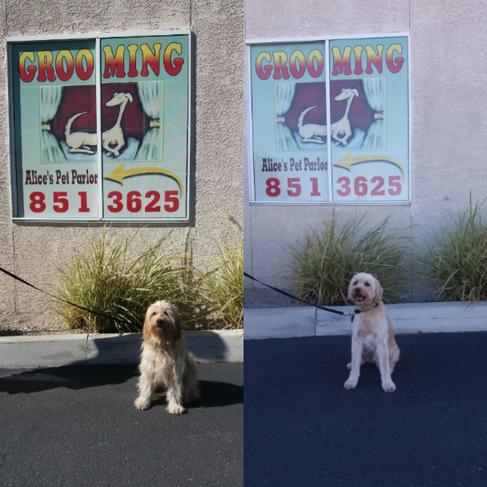 Cooper's Before and After Cooper's Before and After