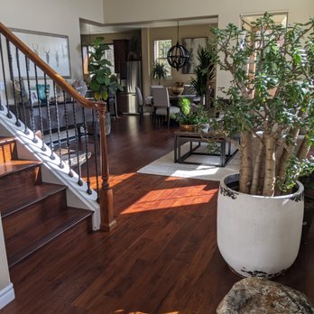 Barclay Flooring - a plant in a pot in a living room - Flooring Near Me