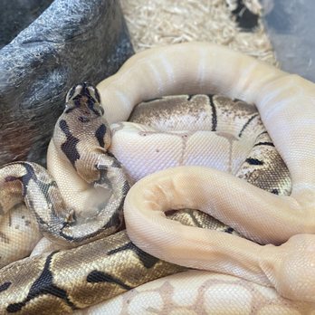 PETCO - Updated August 2024 - 42 Photos & 27 Reviews - 4013 West Walnut ...