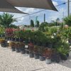 One Stop Landscape Supply gift card