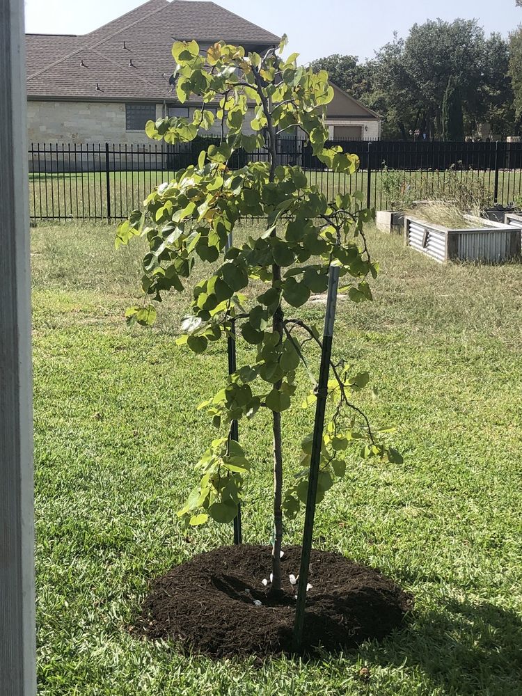 HILLSIDE NURSERY 14 Photos & 29 Reviews 5901 Williams Dr