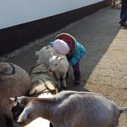 Jyllands Park Zoo