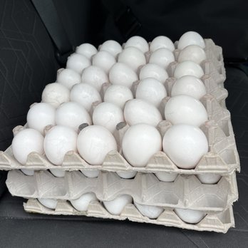 WAIALUA FRESH EGG FARM - Updated August 2024 - 23 Photos & 16 Reviews
