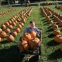 Photo of Baba Mary's Fall Harvest Sale