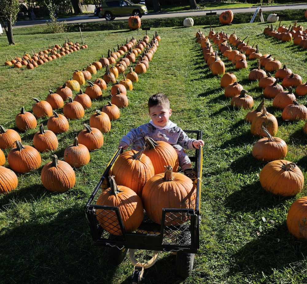 Baba Mary's Fall Harvest Sale